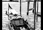 IMG 5765