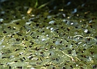 IMG 4645